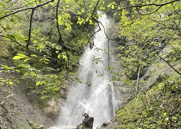 Waltenberghof ファームステイ
